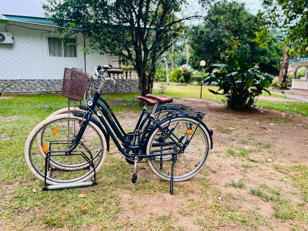 Bicycle parkingChalet Bamboo Vert