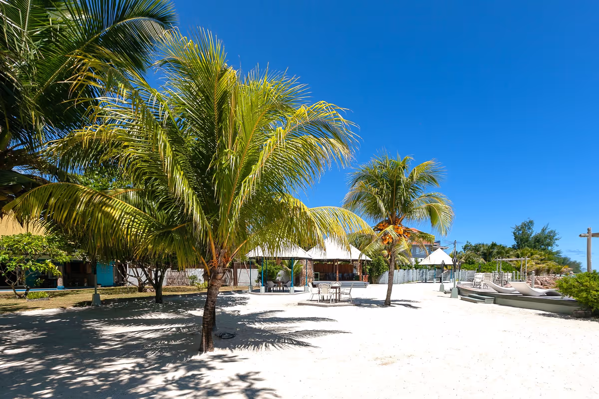 Superior room - The Islander Hotel