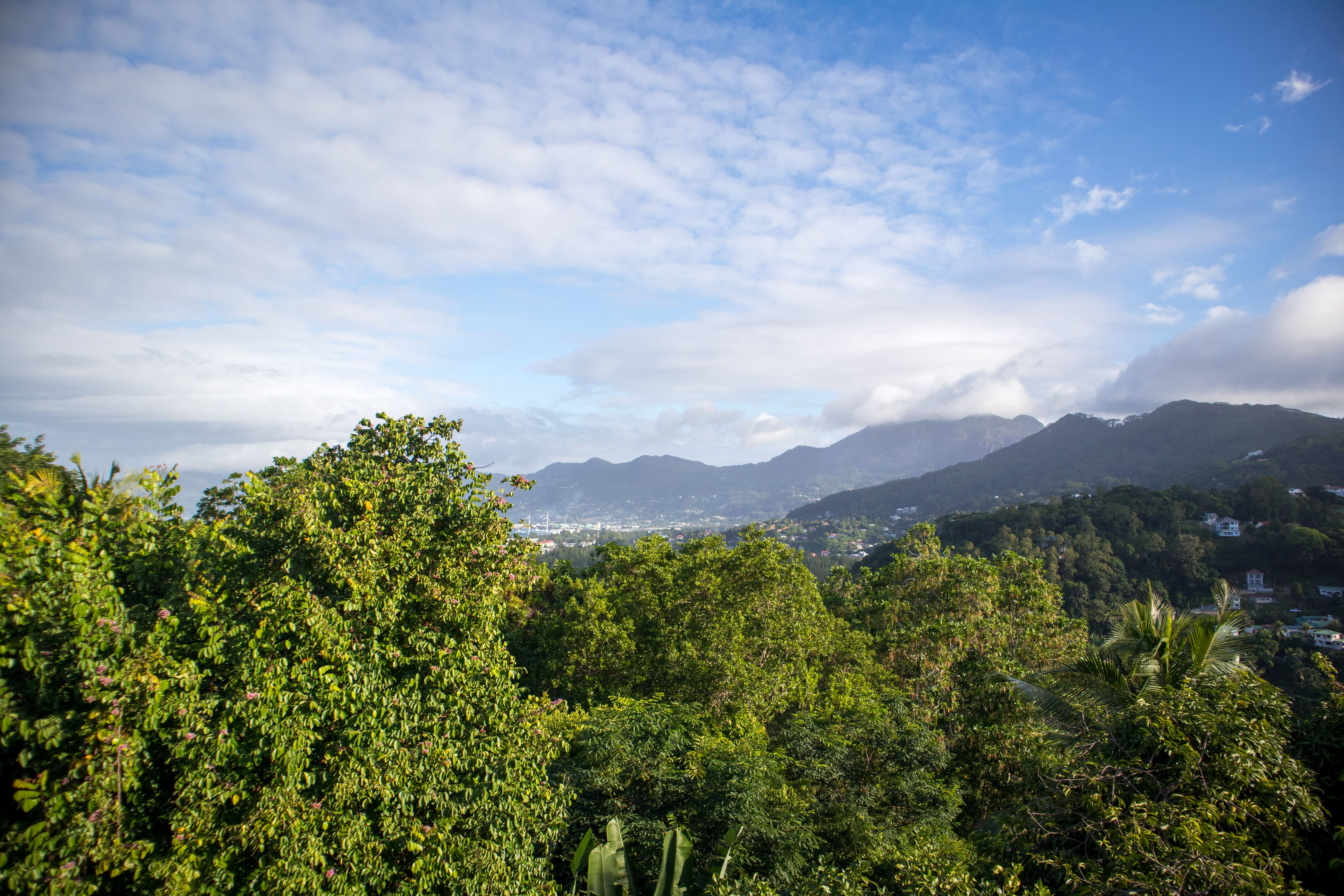 View Apartment Mountain View