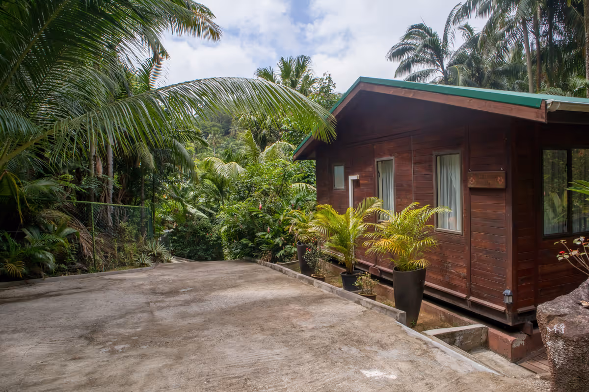 Street view Palm room