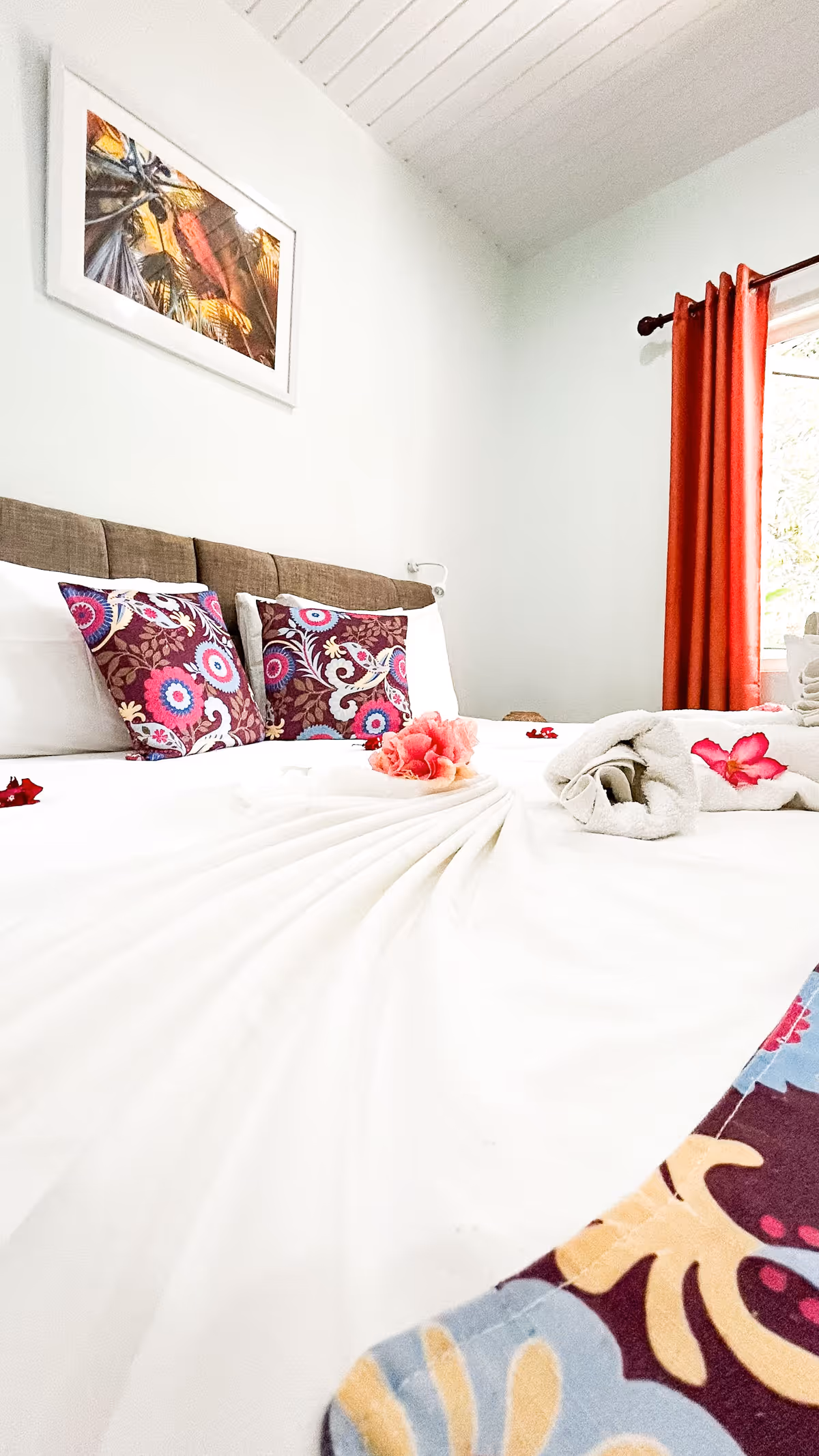 Room primary image