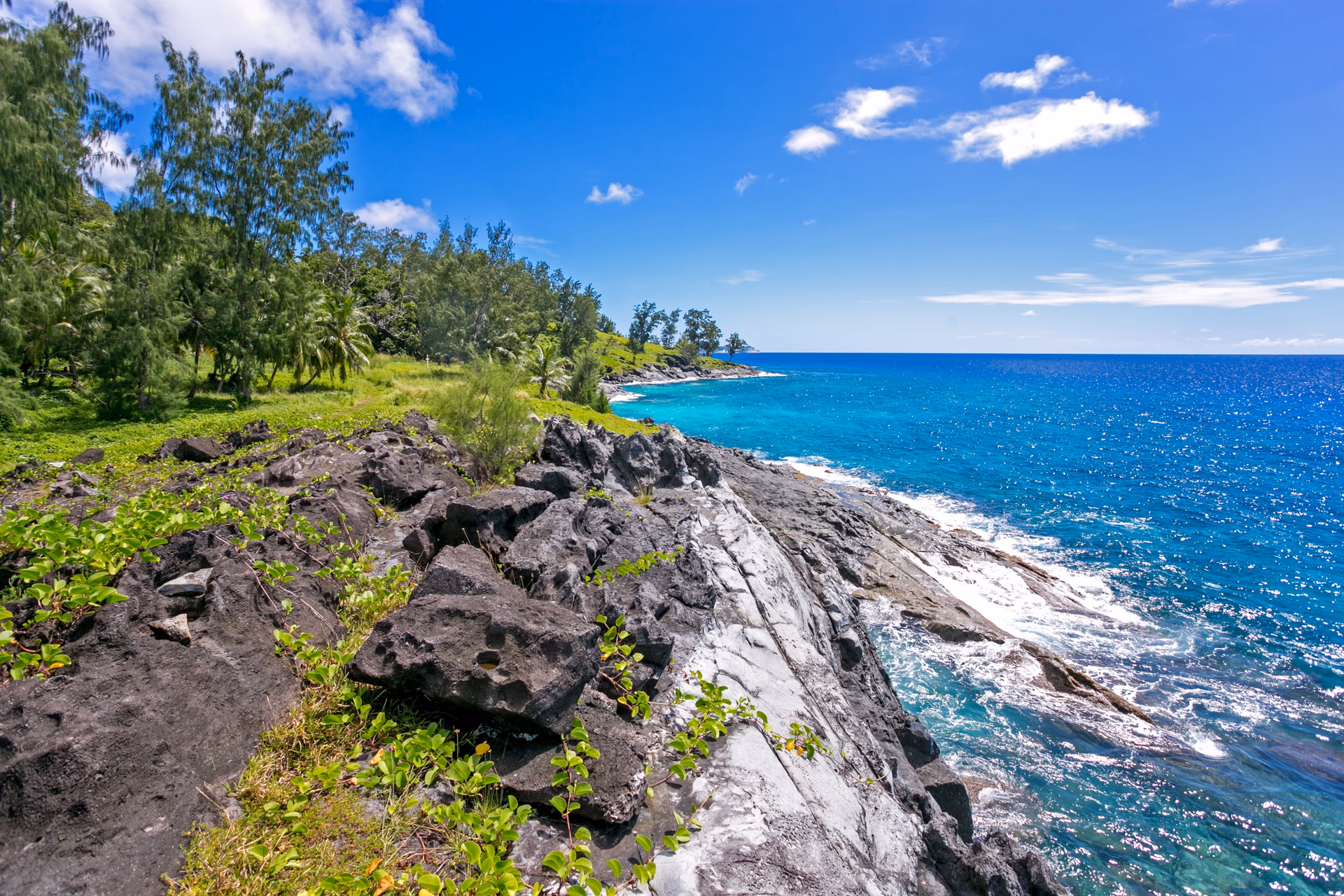 Silhouette gallery 13