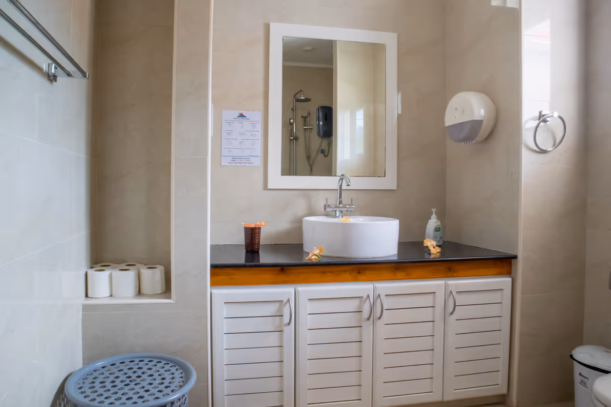 bathroom deluxe 1-bedroom apartment