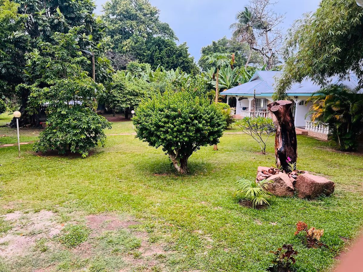 Garden of Chalet Bamboo Vert