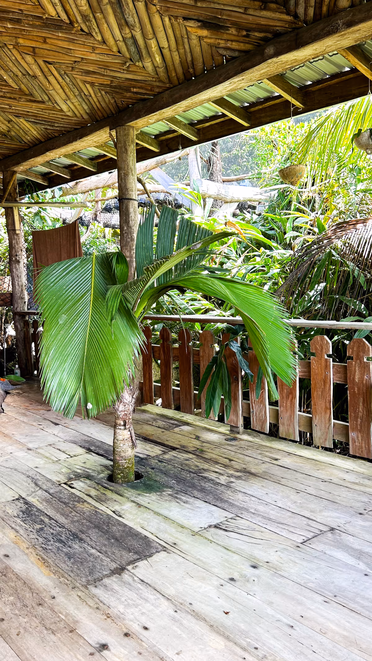 Veranda