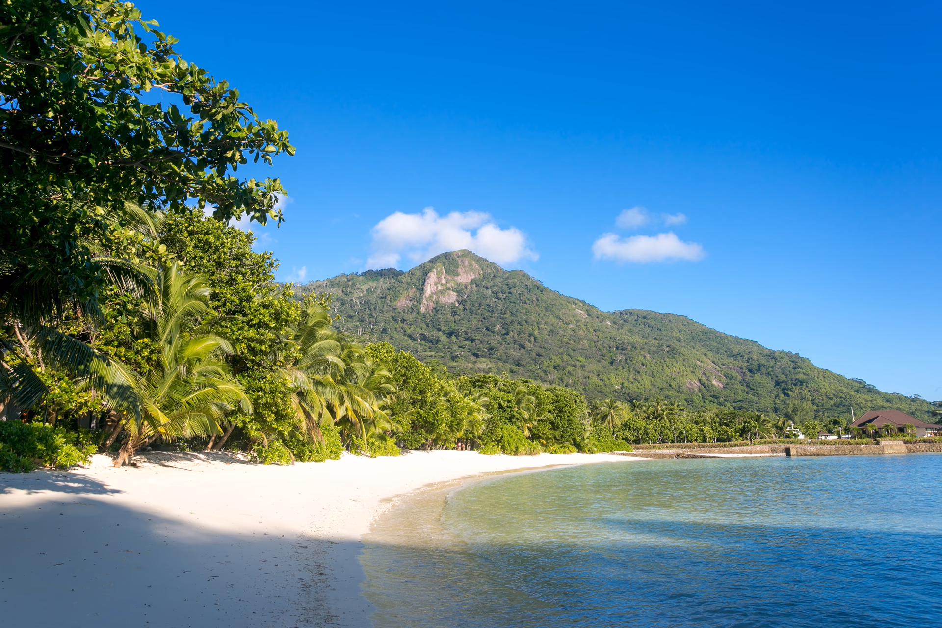 Silhouette gallery 12