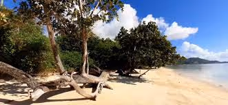 Beach L’échappée du Cap