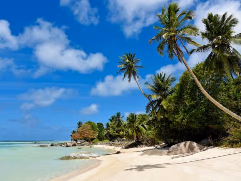 Beach L’échappée du Cap