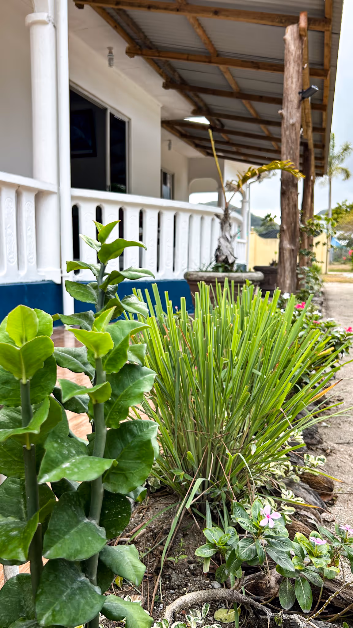 My Ozi Perl Creole Villas