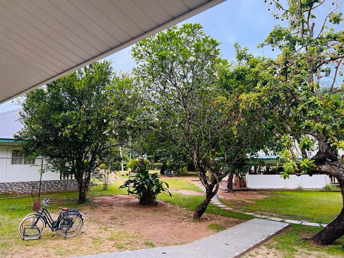 Garden of Chalet Bamboo Vert