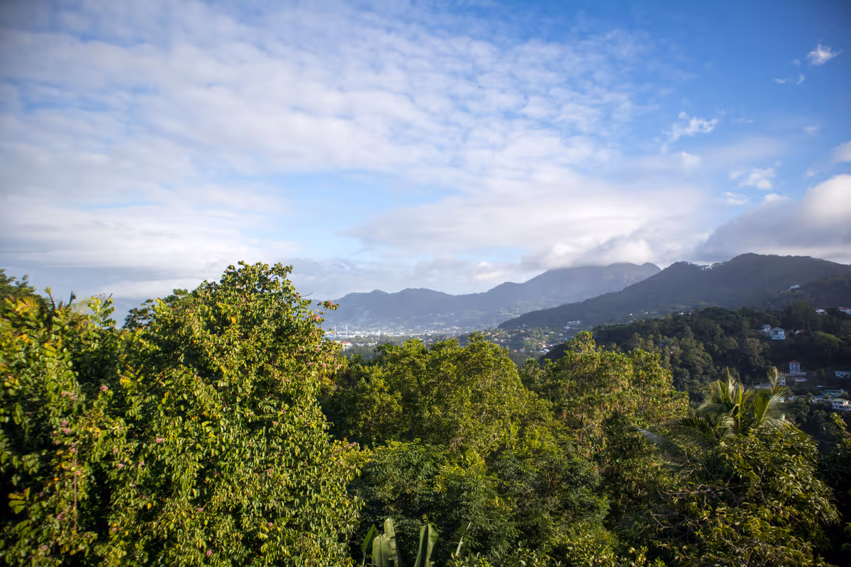 View Apartment Mountain View