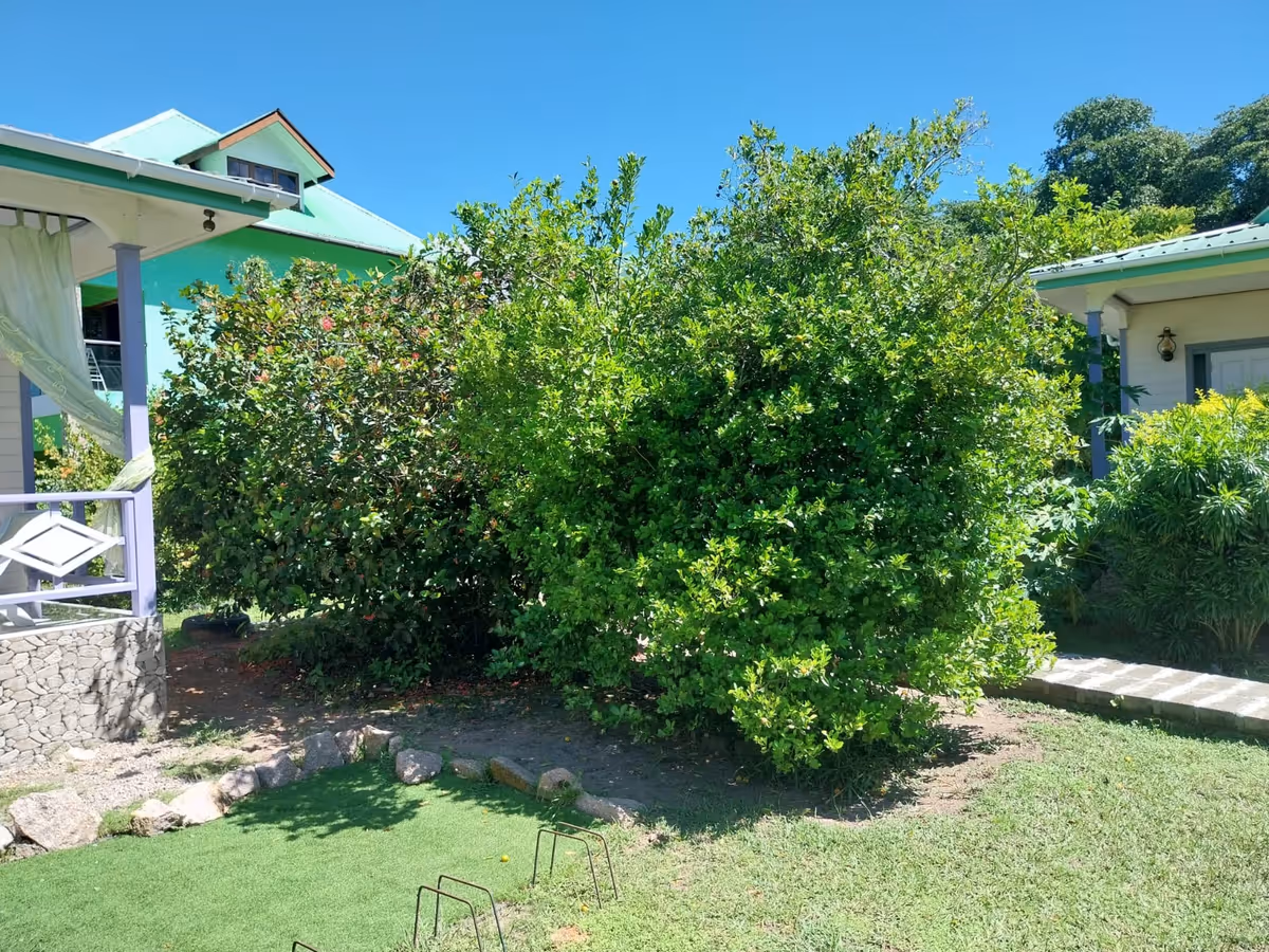 Garden Sapphire House