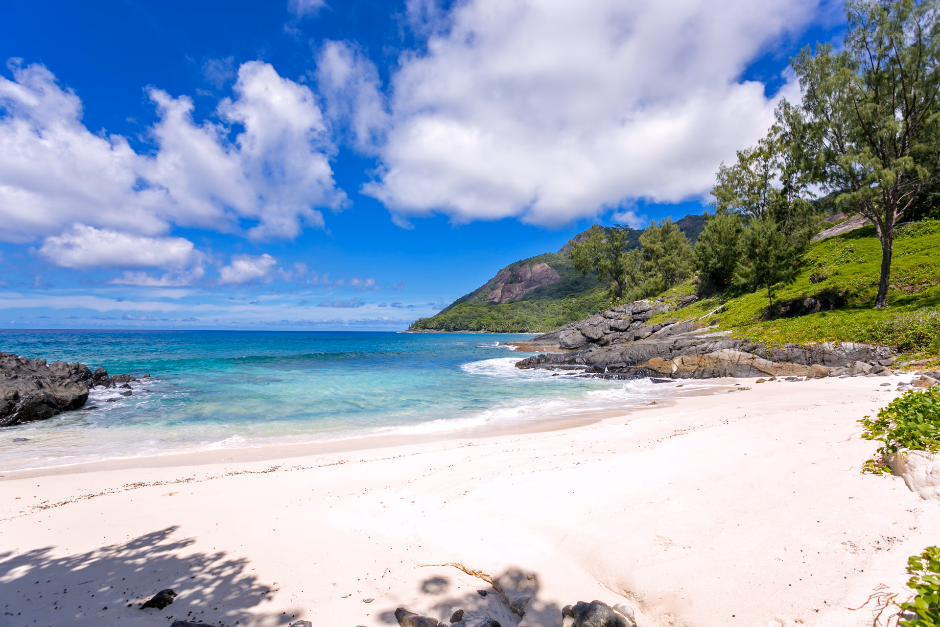 Silhouette gallery 15