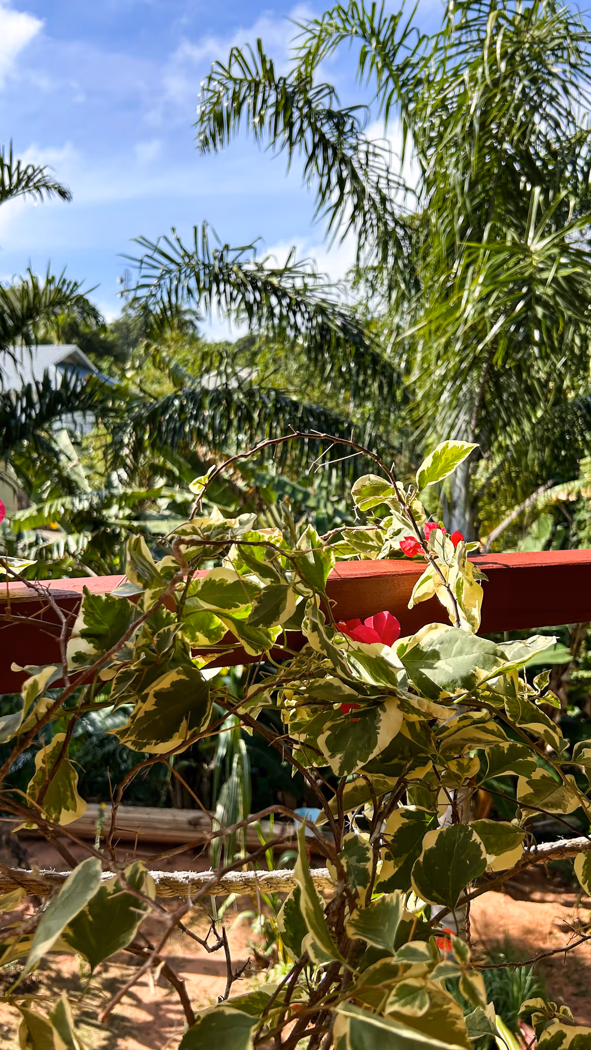 View Balcony