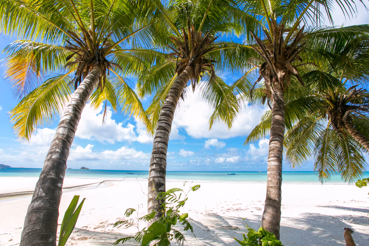 Beach Coco Bay Villa