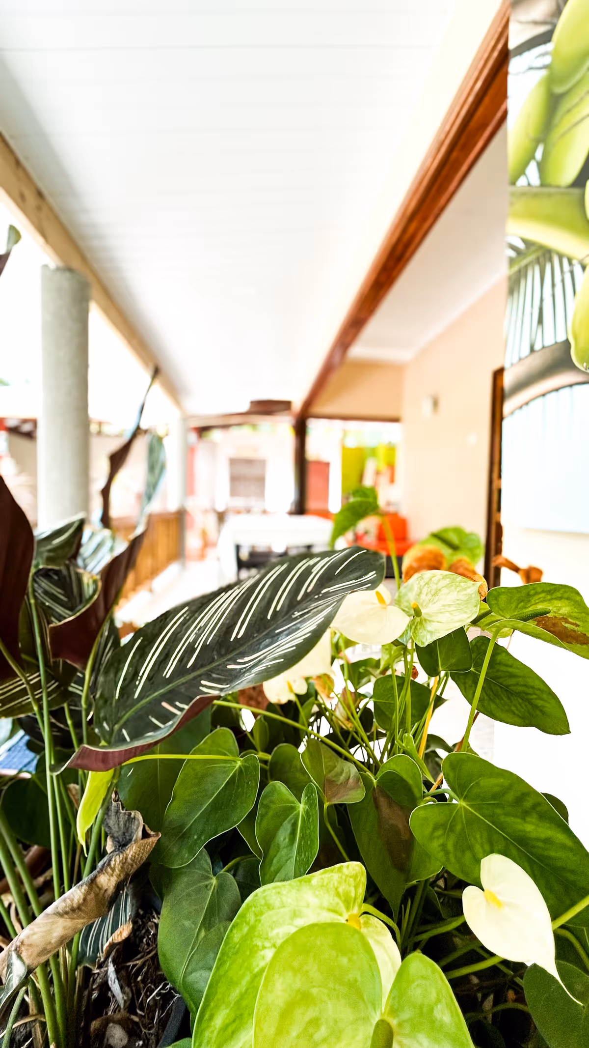 Veranda