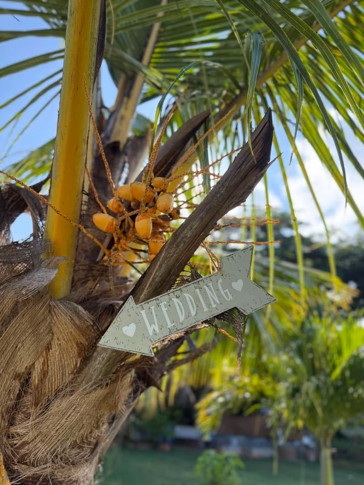 Wedding Emerald House