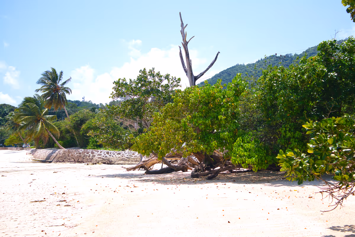 Beach L’échappée du Cap