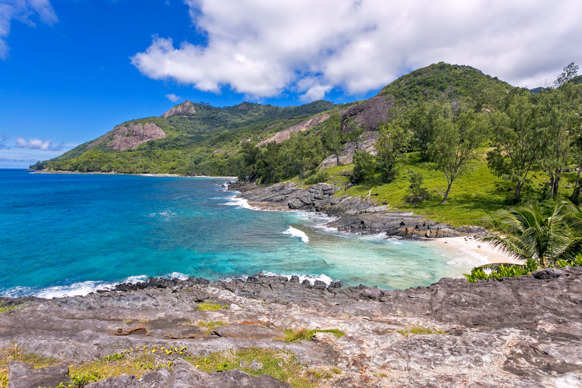 Silhouette gallery 14